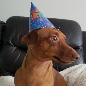 Meet your Posher, Hee young